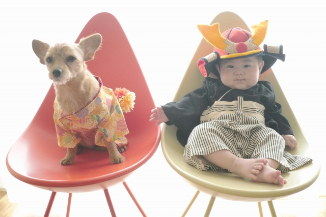 犬と袴ロンパースを着た赤ちゃん