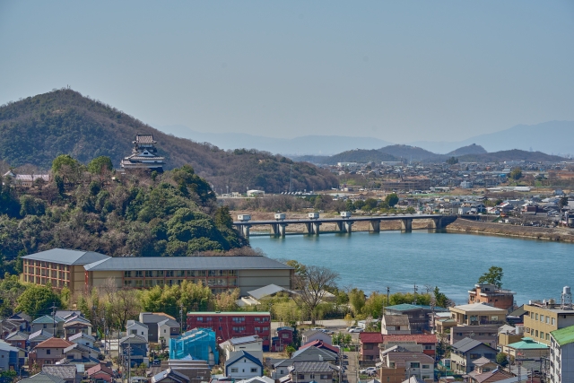 犬山成田山から見た犬山城